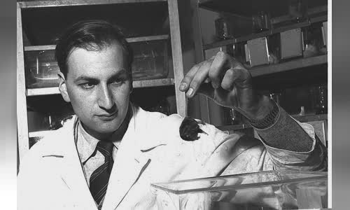 Leo Sachs