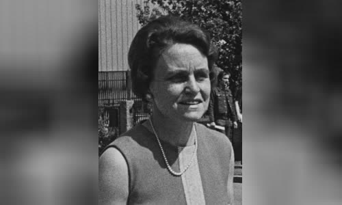 Karin Söder