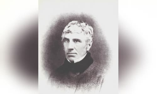 William Weston (Australian politician)