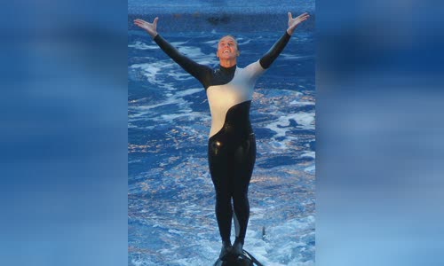 Dawn Brancheau