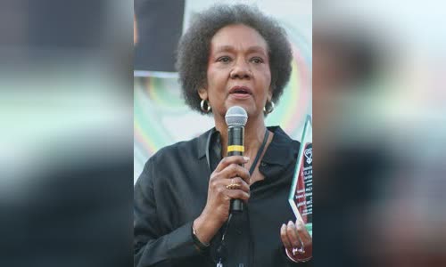 Frances Cress Welsing