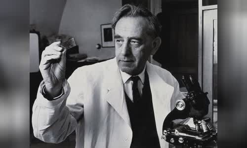 Saul Adler