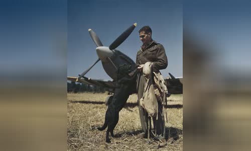 Johnnie Johnson (RAF officer)