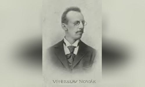 Vít?zslav Novák