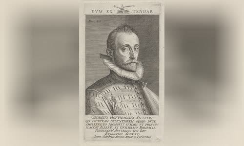 Joris Hoefnagel
