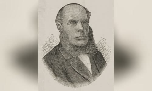 Alexander Stuart (Australian politician)