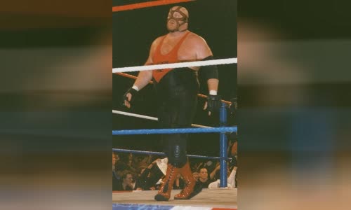 Big Van Vader