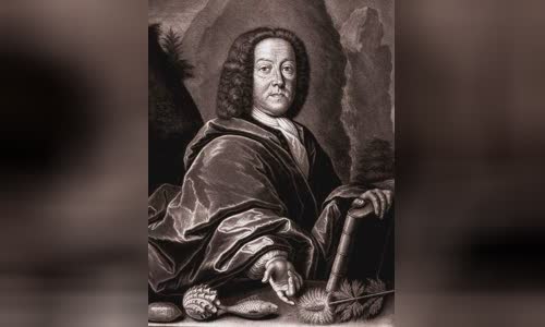 Johann Jakob Scheuchzer