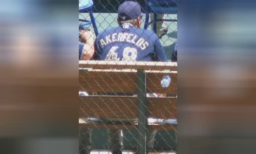 Darrel Akerfelds
