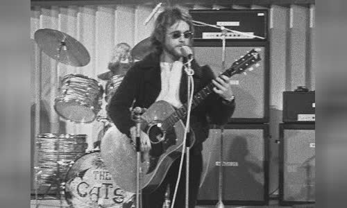 Cees Veerman (musician)