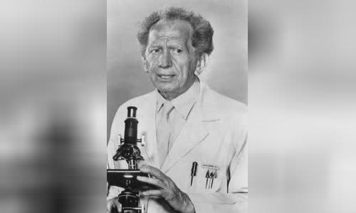 Sam Jaffe