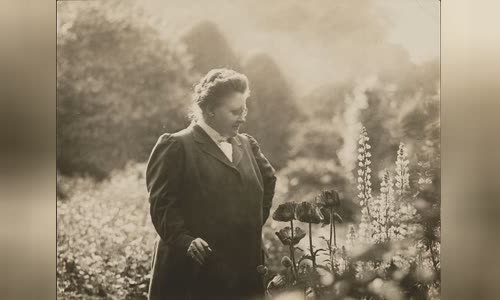 Amy Lowell