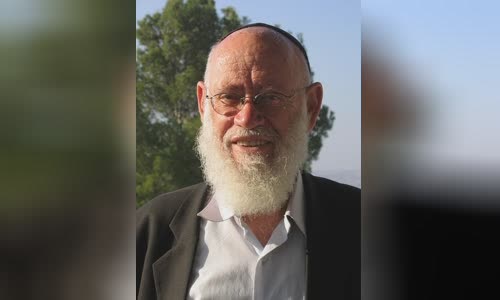 Moshe Levinger