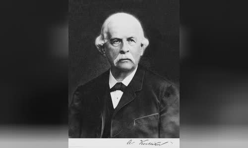 Albert von Kölliker