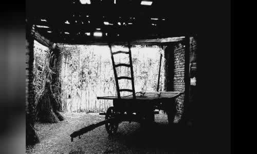 Harry Bertoia