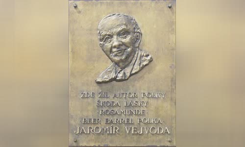Jaromír Vejvoda