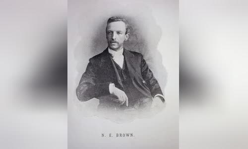 N. E. Brown