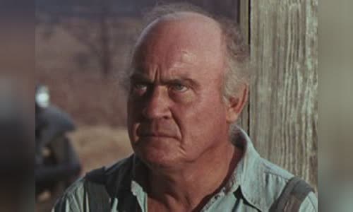 Dub Taylor