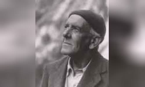 Thomas Graham Brown