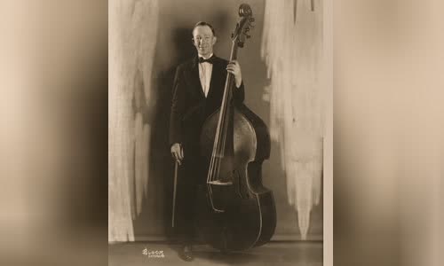 Steve Brown (bass player)