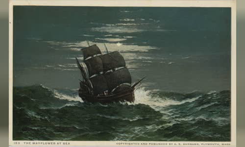 Mayflower