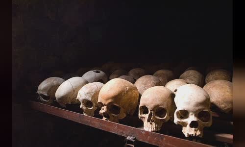 Rwandan genocide