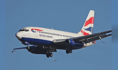 Bhoja Air Flight 213
