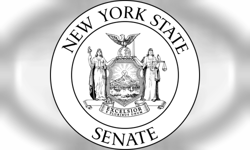 New York State Senate