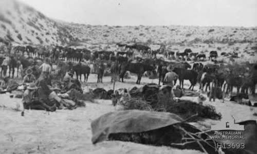 Battle of Romani