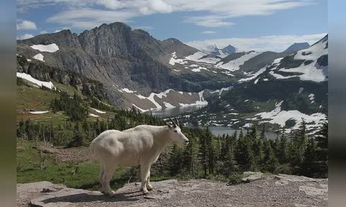 Glacier National Park (U.S.)