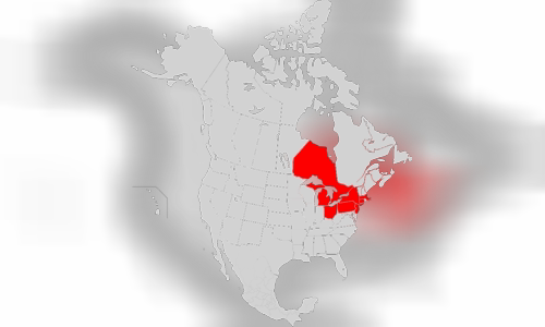 Northeast blackout of 2003