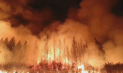Wildfire