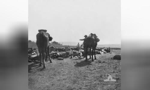 Battle of Elands River (1900)