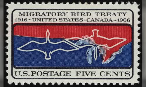 Migratory Bird Treaty
