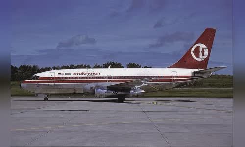 Malaysian Airline System Flight 653