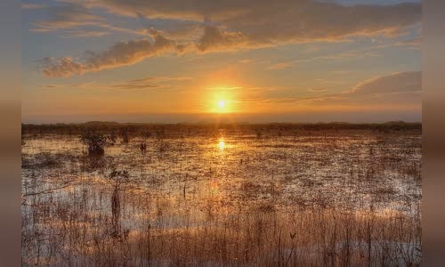 Everglades National Park