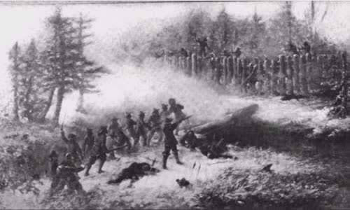 Great Swamp Fight