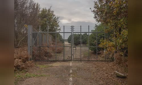 Rendlesham Forest incident