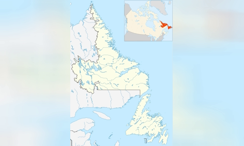 Labrador