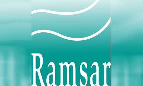 Ramsar Convention