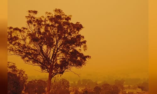 Bushfires in Australia