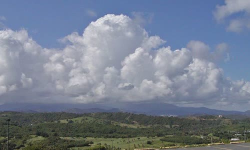 El Yunque National Forest