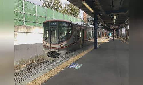 Sakurajima Line