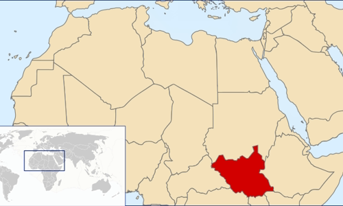 United Nations Security Council Resolution 1999
