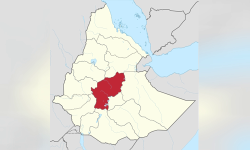 Shewa