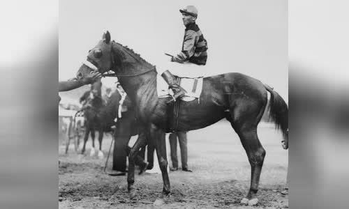 Sir Barton