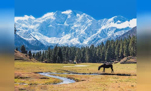 Nanga Parbat
