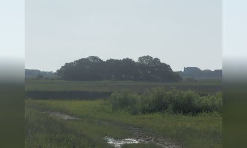 Siege of Fort Mose