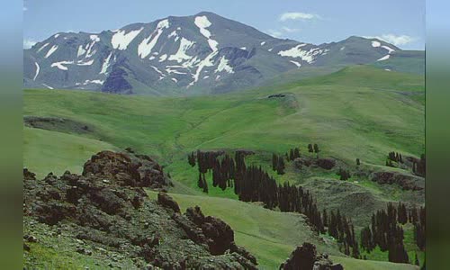 Shoshone National Forest