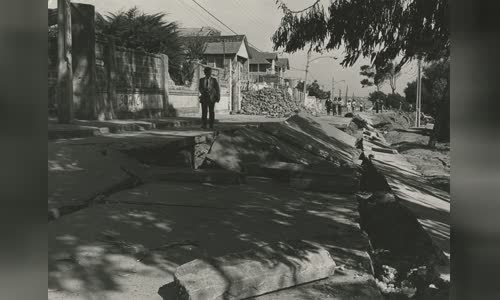 1985 Algarrobo earthquake